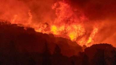 California'da Yangın Alarmı Verildi