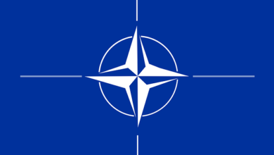 NATO Ülkelerine Ait 5 Uçak Gemisi Atlantik ve Akdeniz'de Tatbikat Düzenliyor