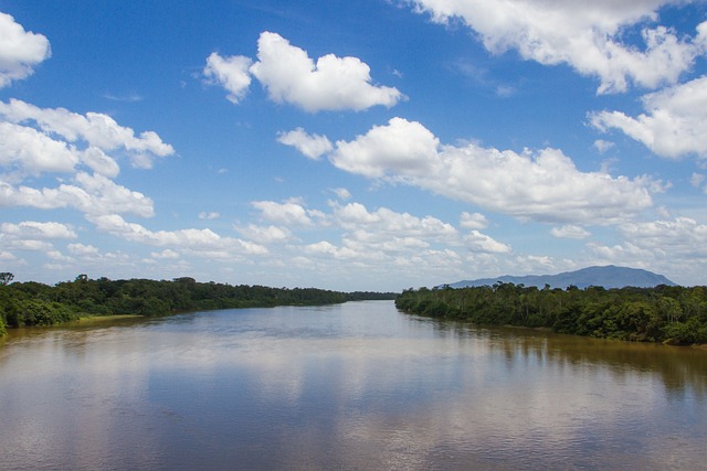 ABD, Brezilya'nın Başlattığı Amazon Kalkındırma Fonu'nu Destekleyecek