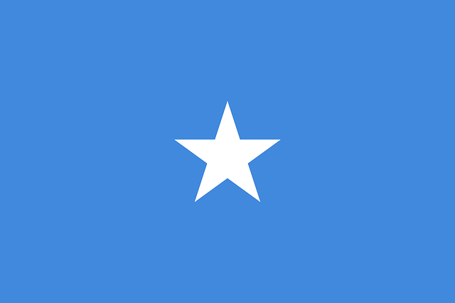 ABD Tarafından Gönderilen 61 Ton Mühimmat ve Silah Somali'ye Ulaştı