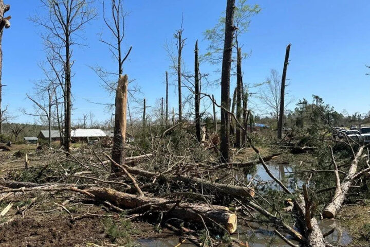 ABD Başkanı Joe Biden Afet Yaşayan Mississippi'de Acil Durum İlan Etti
